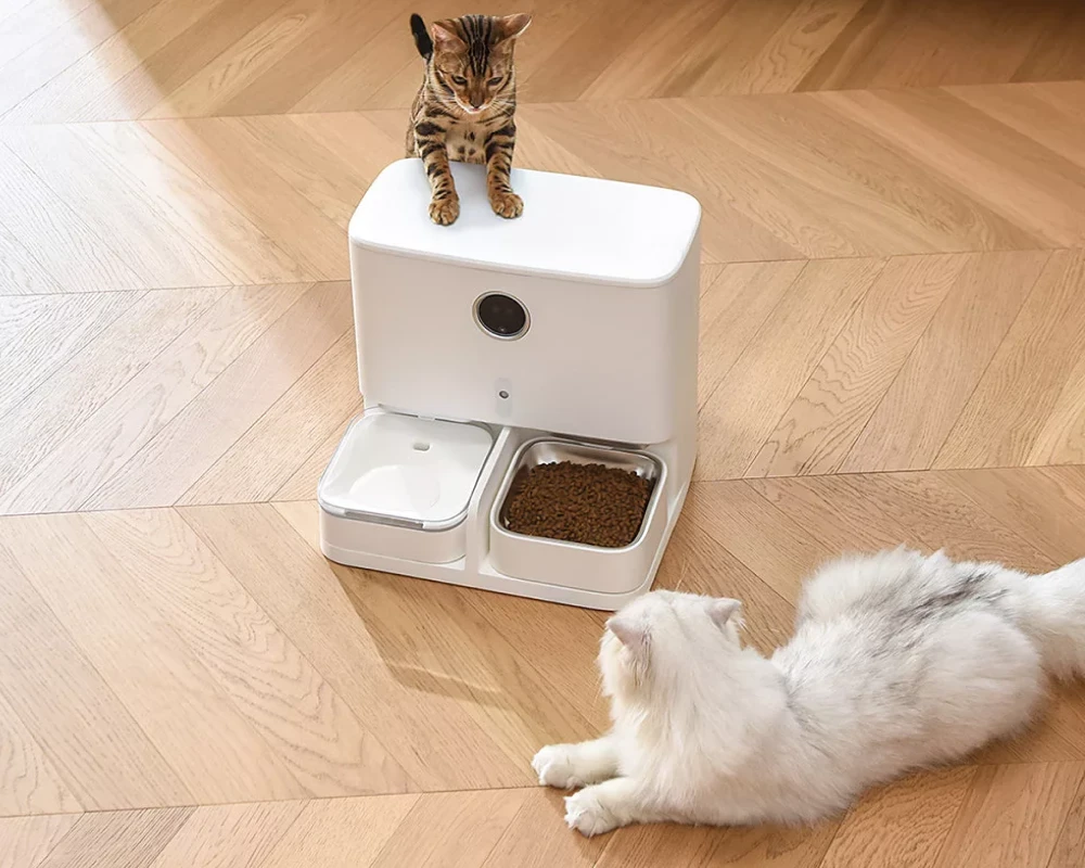 automatic dog water feeder