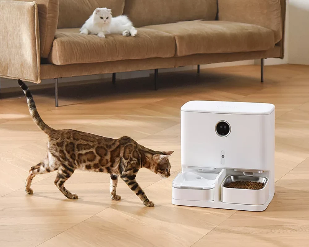 pets automatic pet feeder