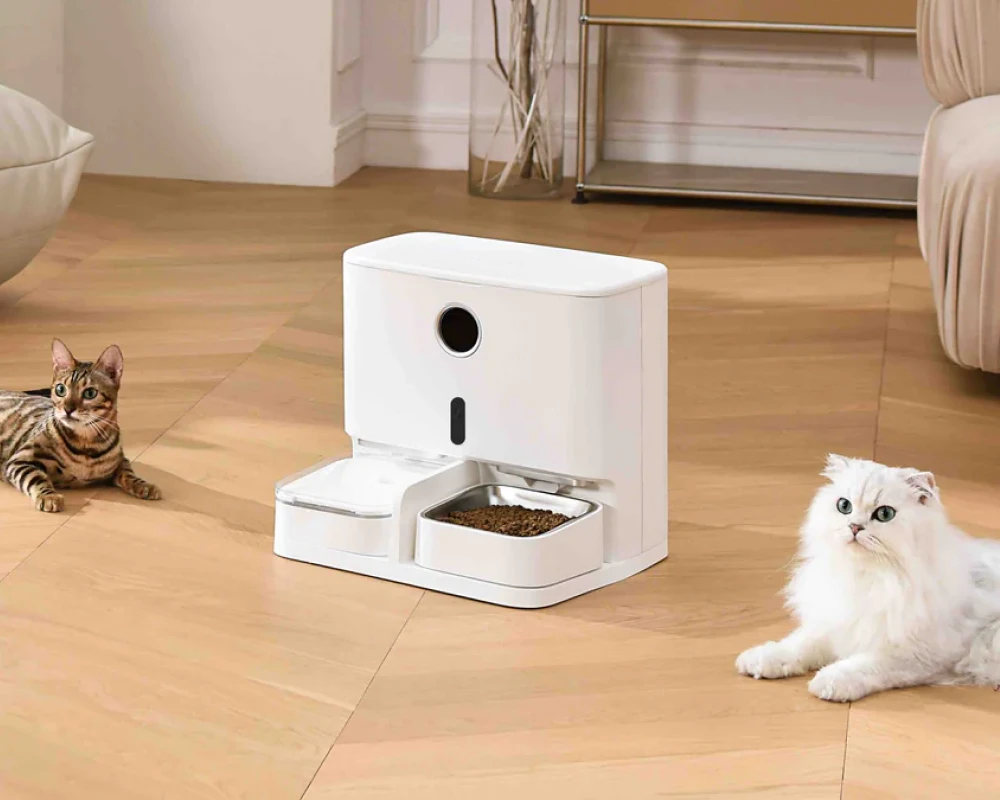 automatic pet feeder for multiple cats