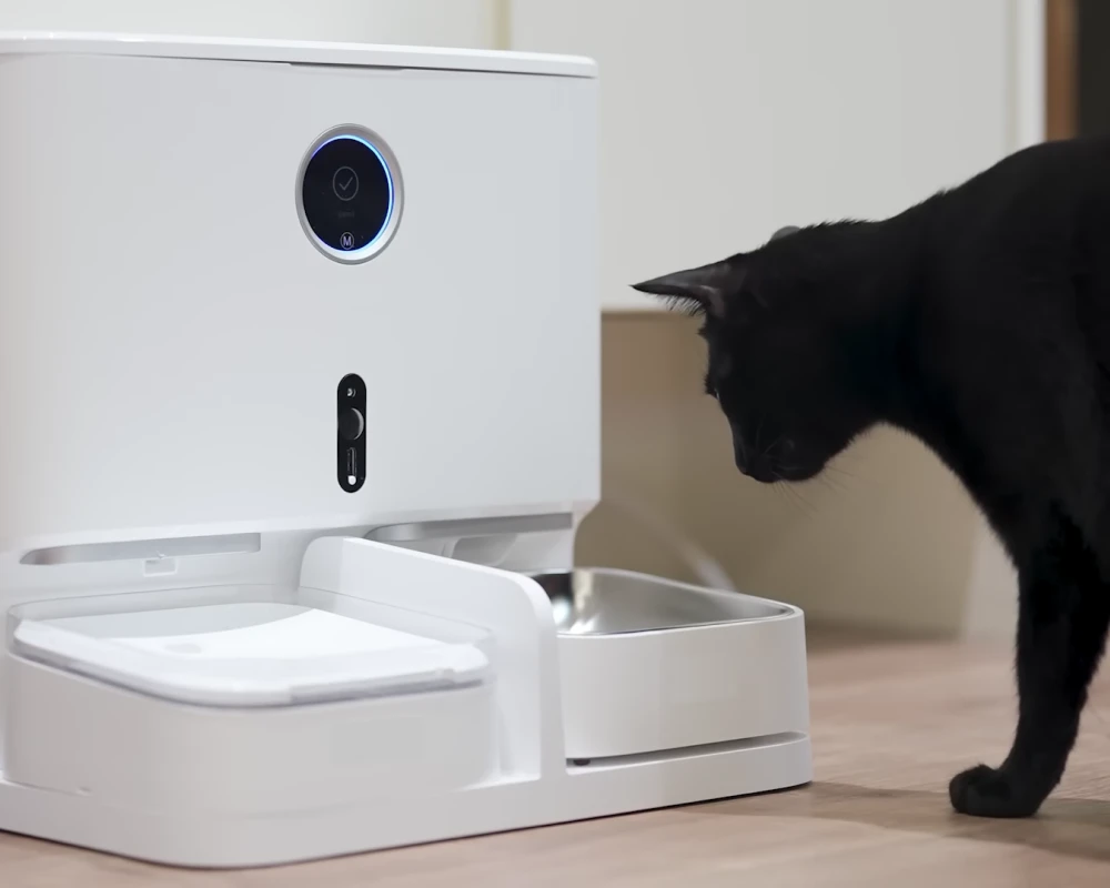 cat feeder with camera